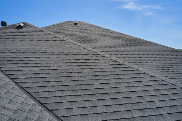 Best Roof Moss and Algae Removal  in Avon, CO